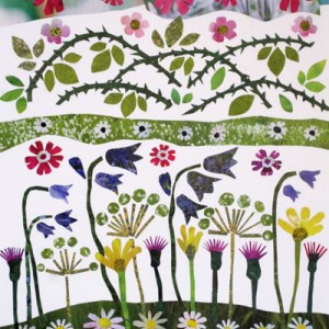JRB0043wildflowersPLPR PLGX PLMOB Y