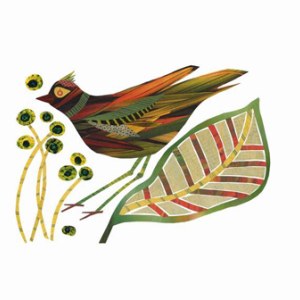 JRB0070grassbirdPLPR Y