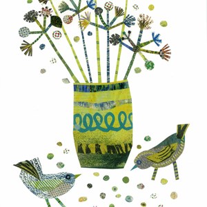 JRB0081bird seeds  PLGX PLPR PLCAL