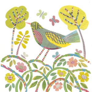 JRB0083briar bird PLPR C56 Y