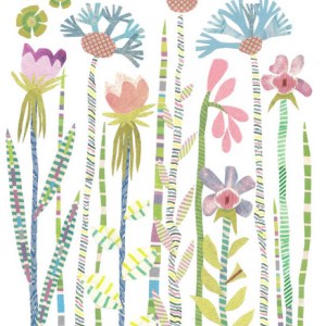 JRB0117 wild thingsPLGX PLcal PLMOB Y