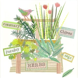 JRB0171 kitchengarden herbbox  PLGX Y