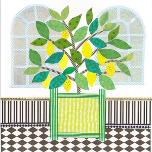 JRB0175 glasshouse lemon tree PLGX Y