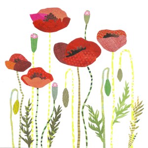 JRB0194 poppies PLGWW28