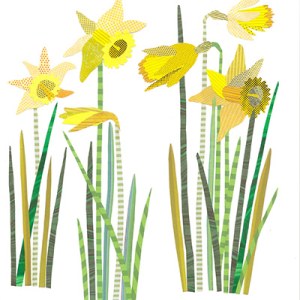 JRB0197 daffs Y