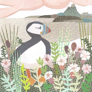 JRB0206 puffin