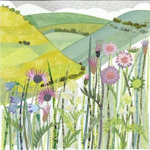 JRB0208 Devil`s Dyke TFHRA Y
