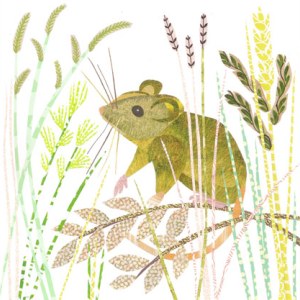 JRB0227 FIELDMOUSE.jpeg
