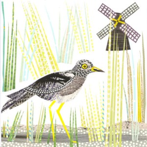 JRB0233 stonecurlew.jpeg