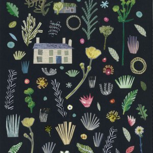 JRB0251 night garden