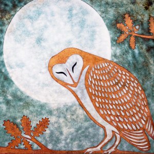 Janine Partington PAR0655 Barn Owl PLG