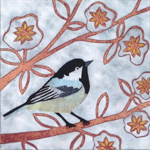 PAR0496 B11 COAL TIT PLG