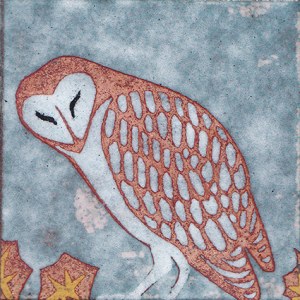 PAR0520 B barnowl Y