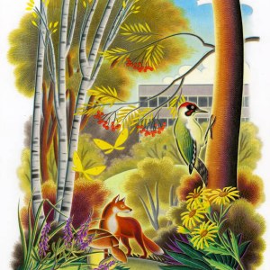 AR JTW0109 Woodland scene