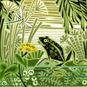 JTW0012 minimal animal   frog smallfile Y PLCAL