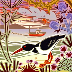 JTW0014 oystercatcher smallfile PLTAB PLCAL