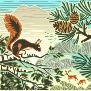 JTW0018 scotland squirrel fat stag PLtab PLGEXUK16 PLCAL