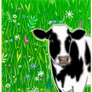 JTW0074coo for sooTFHRA Y