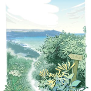 JTW0033 beach path 2 Y