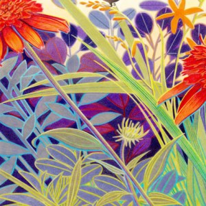 JTW0096 tropical bird PLCAL