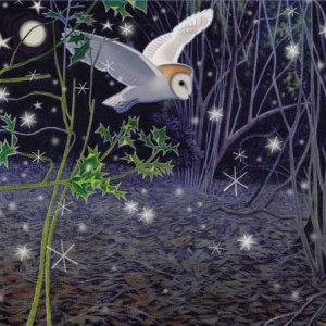 JTW0108 MOONLIT FLIGHT