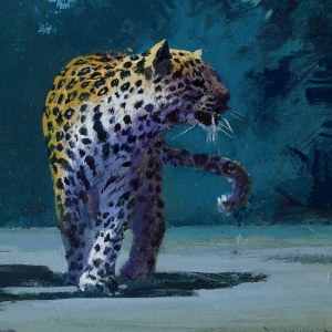 AR AE JHA0029 Leopard Hunts Darkness crop 5 PLPR PLPREXUKEU