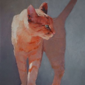 AR AE JHA0030 Portrait of a Ginger Cat