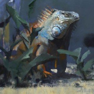 AR AE JHA0661 Iguana