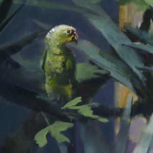 AR AE JHA0661 Parrot