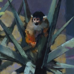 AR AE JHA0661 Squirrel monkey