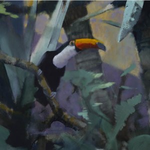 AR AE JHA0661 Toucan