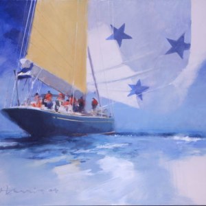 AR AE JHA0340 Endeavour with Spinnaker, oils larger