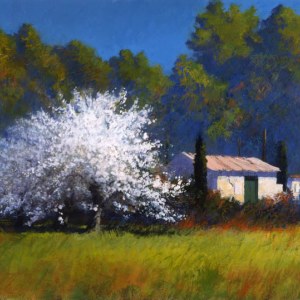 AR AE JHA0560 Toujours Provence  12PLPR