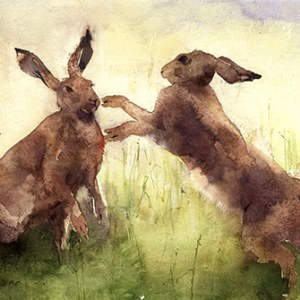 KAT0159boxhares2print TFHRA Y
