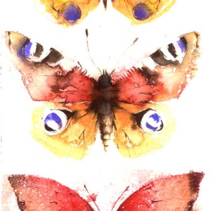 KAT0267 three butterflies red