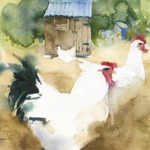 KAT0012ChickenShackTFHRA:PL