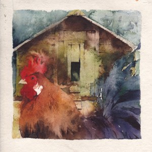 KAT0015chickenshedTFHRA