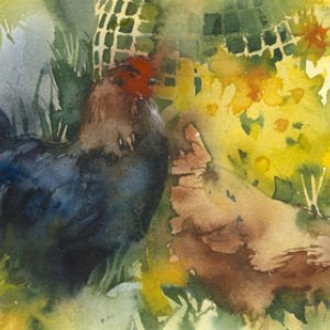 KAT0295 Spring Chickens with Narcissi copy