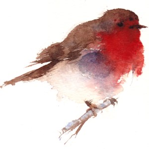 KAT0039robin smallfile TFHRA Y