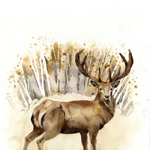 KAT0253 Stag