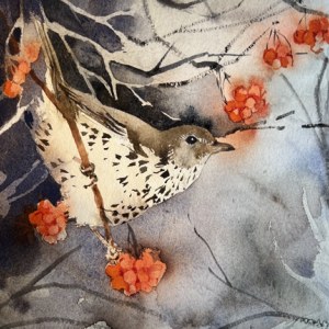 KAT0341 FieldFare