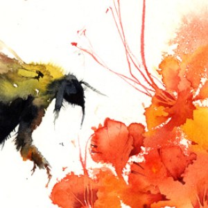 KAT0074beewithflowers TFHRA Y