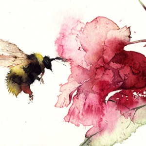 KAT0076bee.w.balsam2 TFHRA Y