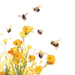 KAT0286 Bee.w.Buttercups PLG