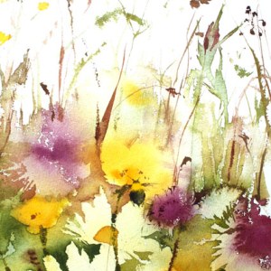 KAT0288 SummerBorder
