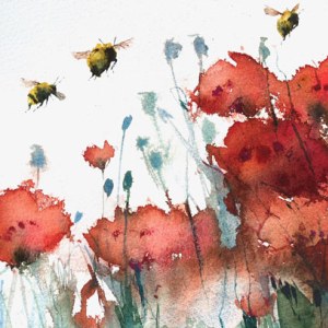 KAT0322 poppies.jpeg
