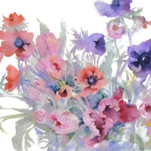 KAT0053fromtheflowerstandPLPE Y