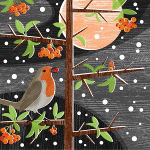 Liane Payne LPA0227 B Firethorn Robin squ PLGWW
