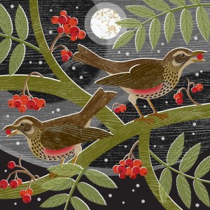 Liane Payne LPA0232 Redwings TFHRA