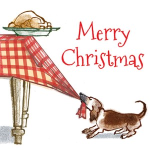 LPA0009 B TurkeyDog final PLGX